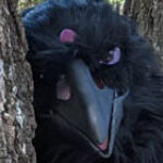 Profile picture of Hinoten